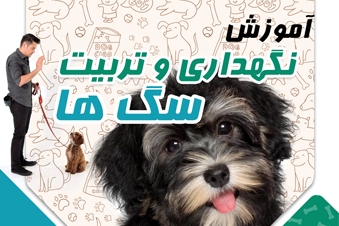 آموزش نگهداری و تربیت سگ ها