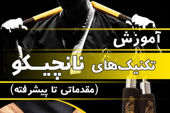 آموزش تکنیک های نانچیکو