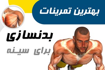بهترین تمرینات بدنسازی برای سینه
