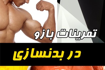 تمرینات بازو در بدن سازی