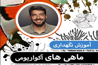 آموزش نگهداری ماهی های آکواریومی