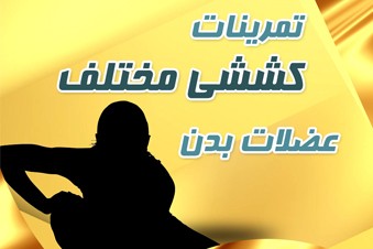 تمرینات کششی مختلف عضلات بدن