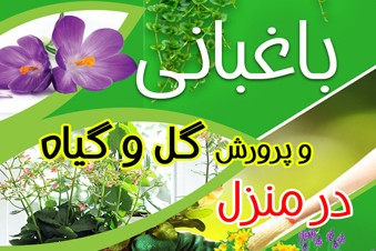 باغبانی و پرورش گل و گیاه در منزل
