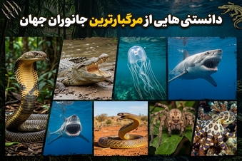 دانستنی هایی ار مرگبارترین جانوران جهان