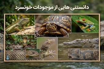 دانستنی هایی از موجودات خونسرد