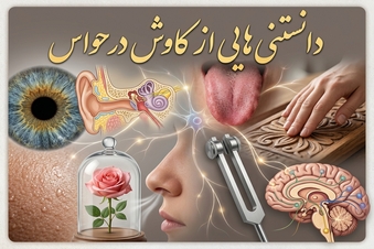 دانستنی هایی از کاوش در حواس