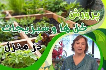 پرورش گل ها و سبزیجات در منزل